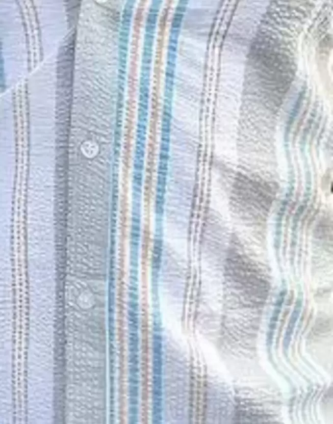 Men Regular Fit Striped Spread Collar Casual Shirt